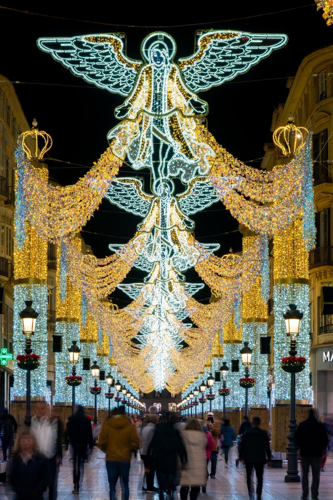 Malaga Christmas Lights