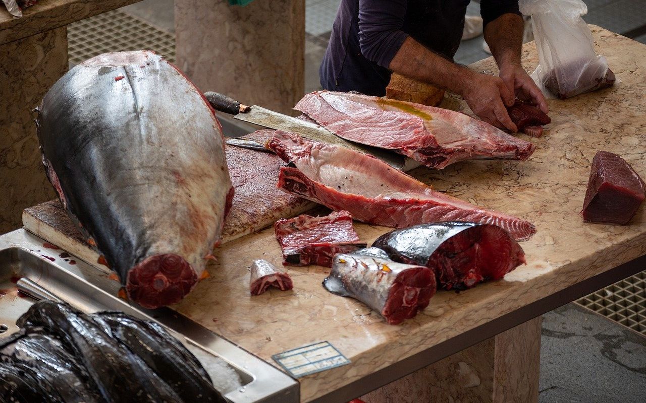 Zahara de Los Atunes - Tuna Festival